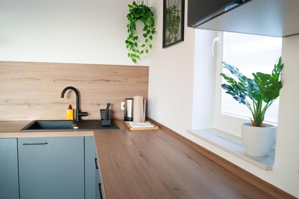 Studio Apartment Marbach Marbach am Neckar Exterior foto